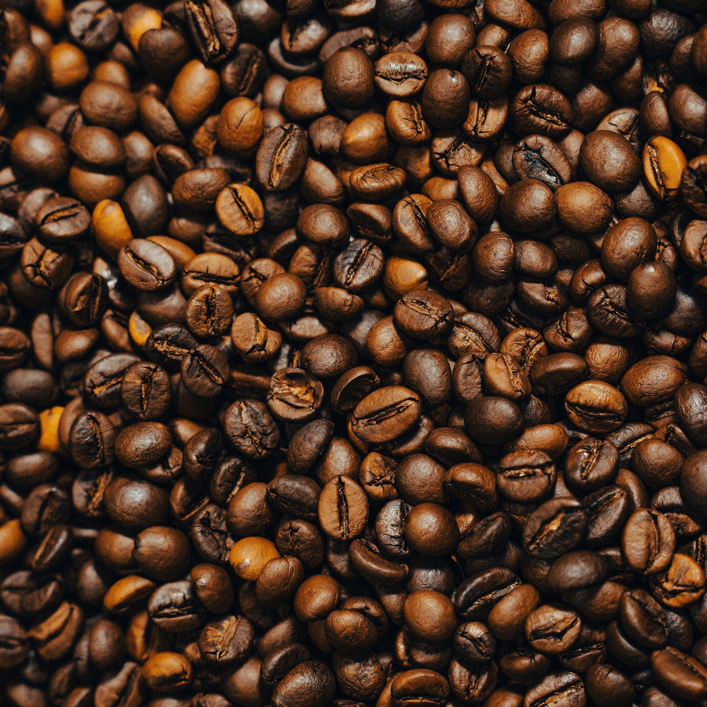 Lavish Hour - Sumatra Origin Coffee Beans